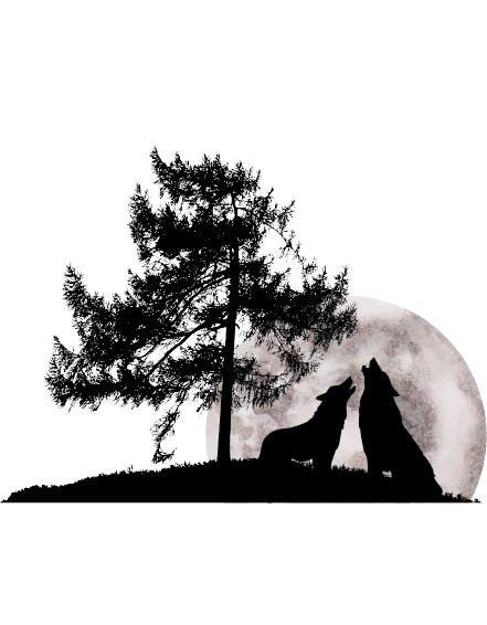 Untitled_design__12_-removebg-preview